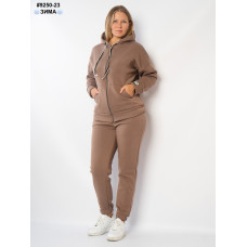 Спортивний костюм жіночий (9250-23)