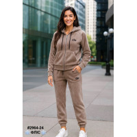 2964-24 Спортивний костюм жіночий турецький двосторонній фліс норма (4 од: 42,4446,48)