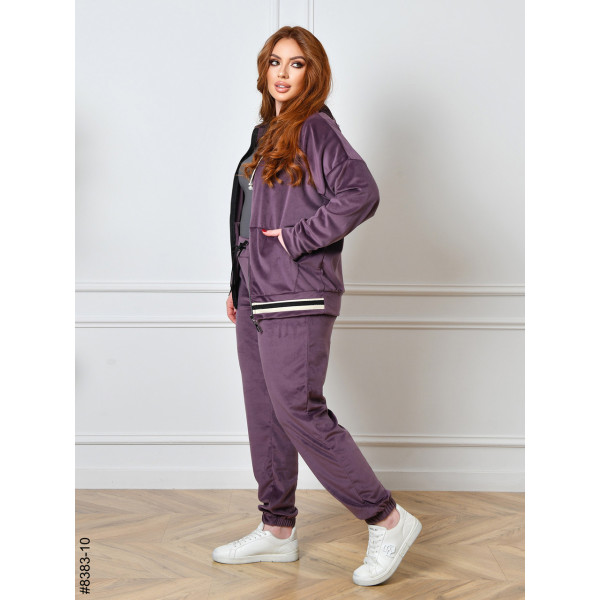 8383-10 Спортивний костюм жіночий на блискавці велюр напівбатал (4 од: 48,50,52,54)