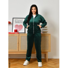 4590-3 Спортивний костюм жіночий велюр на блискавці напівбатал (3 од: 48,50,52)