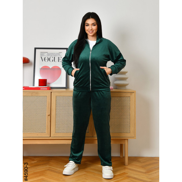 4590-3 Спортивний костюм жіночий велюр на блискавці напівбатал (3 од: 48,50,52)