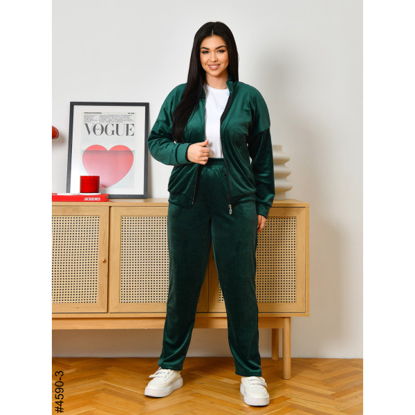 4590-3 Спортивний костюм жіночий велюр на блискавці напівбатал (3 од: 48,50,52)