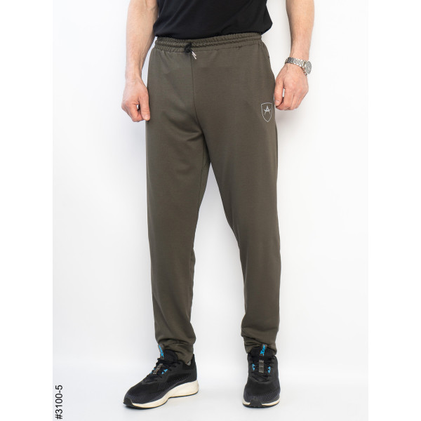 3100-5 Спортивні штани чоловічі на манжеті двунитка норма (4 од: 48,50,52,54)