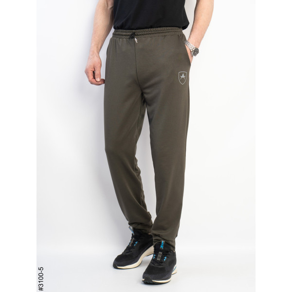 3100-5 Спортивні штани чоловічі на манжеті двунитка норма (4 од: 48,50,52,54)