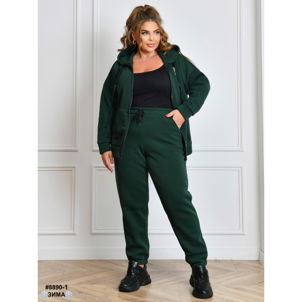 Спортивний костюм жіночий на блискавці (8890-1)