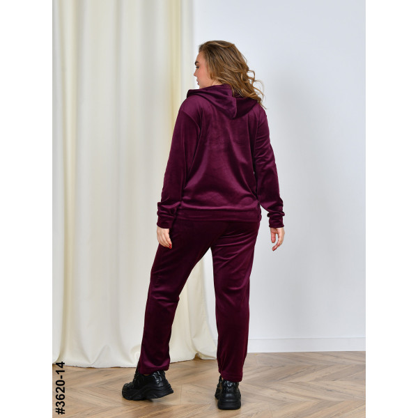 3620-14 Спортивний костюм жіночий на блискавці велюр батал (3 од: 54,56,58)