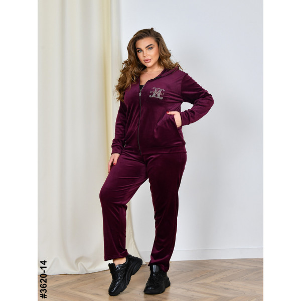 3620-14 Спортивний костюм жіночий на блискавці велюр батал (3 од: 54,56,58)