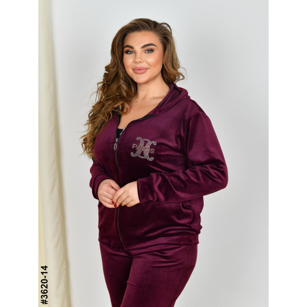 3620-14 Спортивний костюм жіночий на блискавці велюр батал (3 од: 54,56,58)