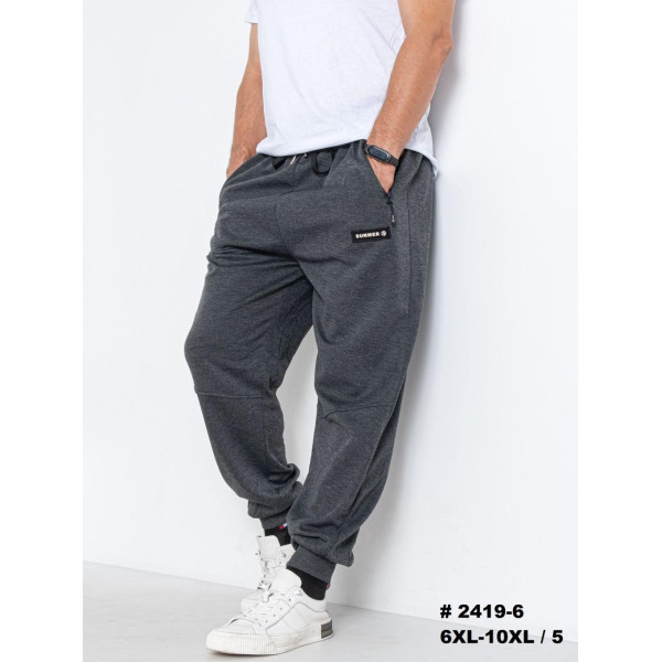 2419-1 Спортивные штаны мужские манжет двунитка батал (5 ед:6XL-10XL)