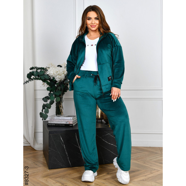 8327-3 Спортивний костюм жіночий на блискавці велюр напівбатал (4 од: 48,50,52,54)