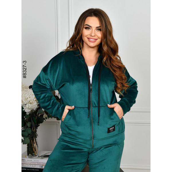 8327-3 Спортивний костюм жіночий на блискавці велюр напівбатал (4 од: 48,50,52,54)