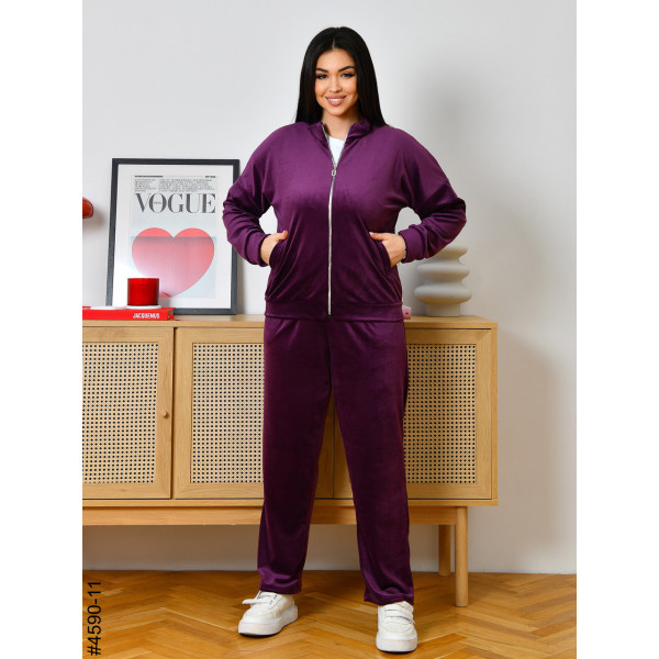 4590-11 Спортивний костюм жіночий велюр на блискавці напівбатал (3 од: 48,50,52)