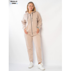 Спортивний костюм жіночий (9250-22)