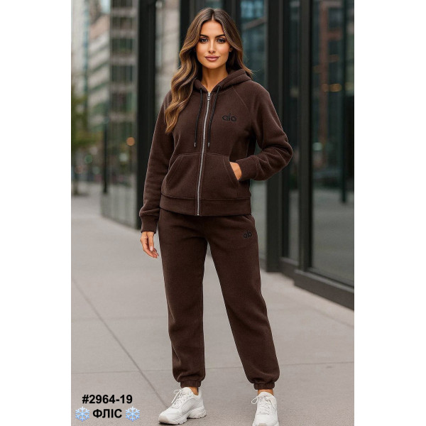 2964-19 Спортивний костюм жіночий турецький двосторонній фліс норма (4 од: 42,4446,48)