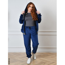 8383-26 Спортивний костюм жіночий на блискавці велюр напівбатал (4 од: 48,50,52,54)