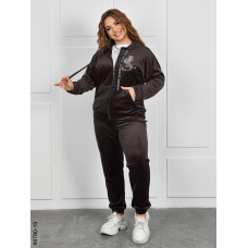 8780-19 Спортивний костюм жіночий на блискавці велюр батал (4 од: 54,56,58,60)