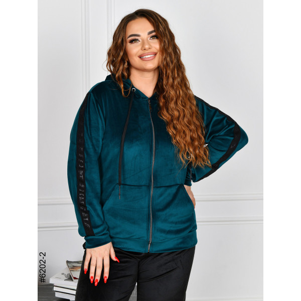 6202-2 Спортивний костюм жіночий велюр напівбатал (4 од: 48,50,52,54)