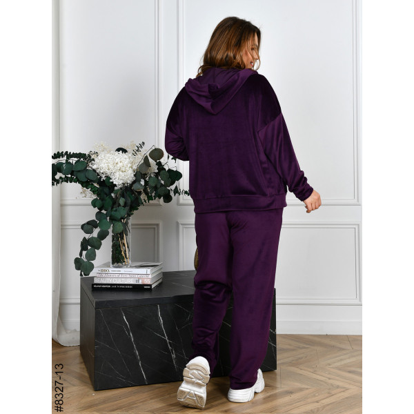 8327-13 Спортивний костюм жіночий на блискавці велюр напівбатал (4 од: 48,50,52,54)