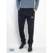 7160-26 Спортивні штани чоловічі на манжеті тринитка на флісі норма (4 од: 48,50,52,54)