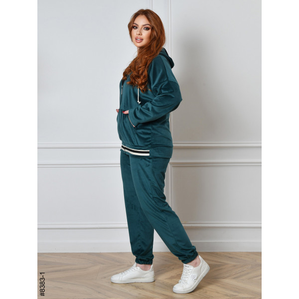 8383-1 Спортивний костюм жіночий на блискавці велюр напівбатал (4 од: 48,50,52,54)