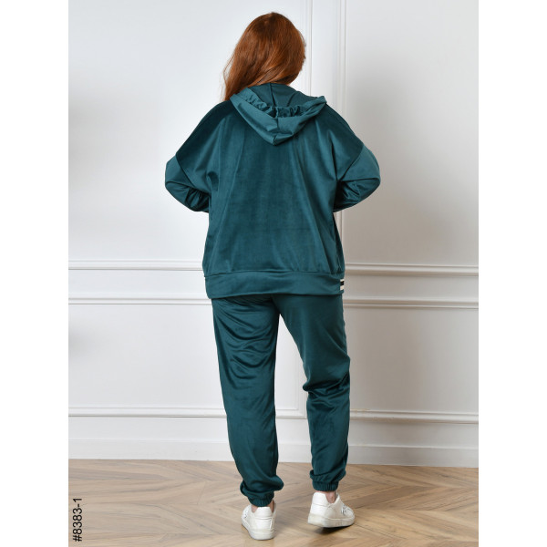 8383-1 Спортивний костюм жіночий на блискавці велюр напівбатал (4 од: 48,50,52,54)