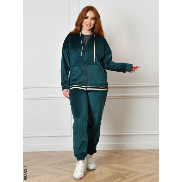 8383-1 Спортивний костюм жіночий на блискавці велюр напівбатал (4 од: 48,50,52,54)