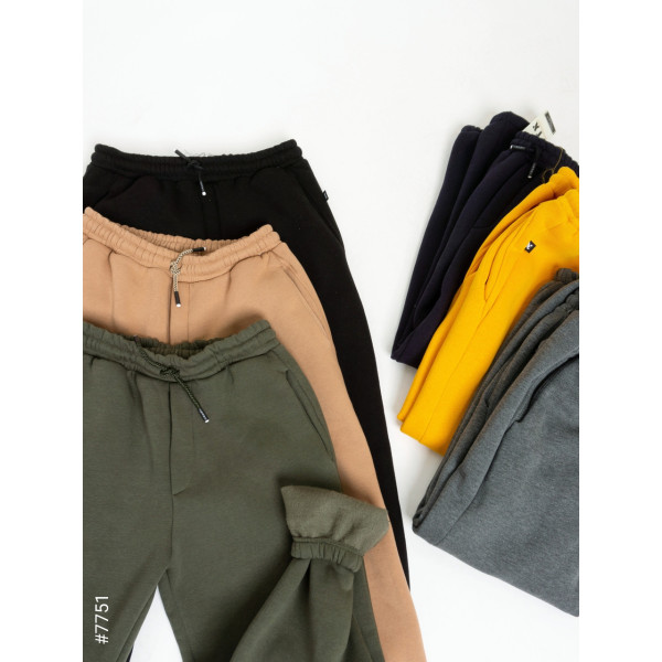 7751-21 Чоловічі спортивні штани тринитка норма (5 од: S, M,L,XL,2XL)