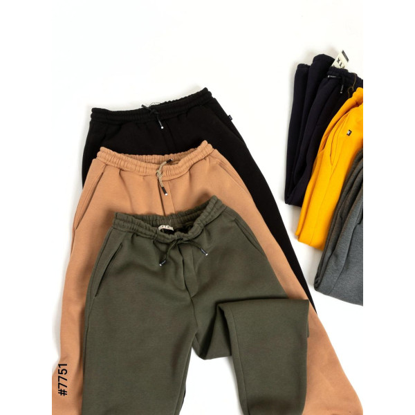 7751-21 Чоловічі спортивні штани тринитка норма (5 од: S, M,L,XL,2XL)