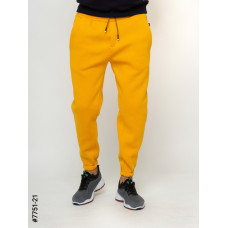7751-21 Чоловічі спортивні штани тринитка норма (5 од: S, M,L,XL,2XL)
