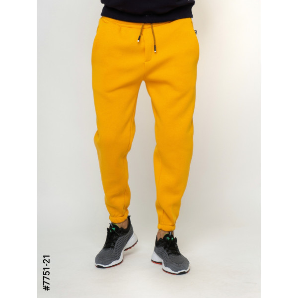 7751-21 Чоловічі спортивні штани тринитка норма (5 од: S, M,L,XL,2XL)