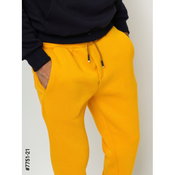 7751-21 Чоловічі спортивні штани тринитка норма (5 од: S, M,L,XL,2XL)