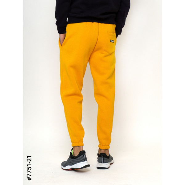 7751-21 Чоловічі спортивні штани тринитка норма (5 од: S, M,L,XL,2XL)