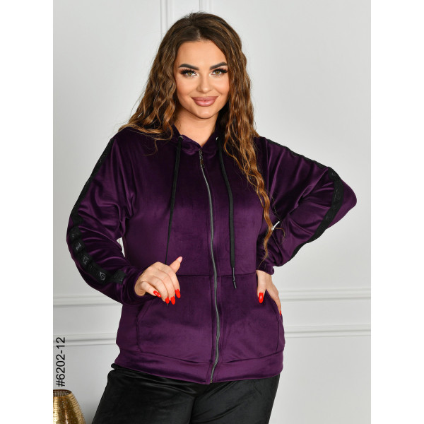 6202-12 Спортивний костюм жіночий велюр напівбатал (4 од: 48,50,52,54)