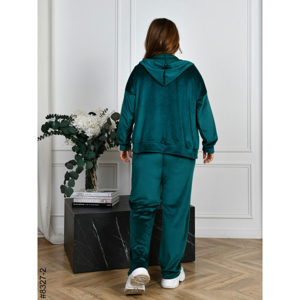 8327-2 Спортивний костюм жіночий на блискавці велюр напівбатал (4 од: 48,50,52,54)