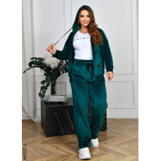 8327-2 Спортивний костюм жіночий на блискавці велюр напівбатал (4 од: 48,50,52,54)