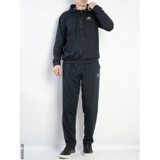 3550-28 Спортивний костюм чоловічий пряма штанина двонитка норма (5 од: 48,50,52,54,56)