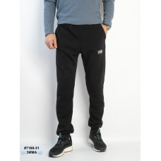7160-31 Спортивні штани чоловічі на манжеті тринитка на флісі норма (4 од: 48,50,52,54)
