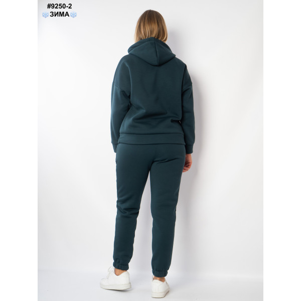 Спортивний костюм жіночий (9250-2)