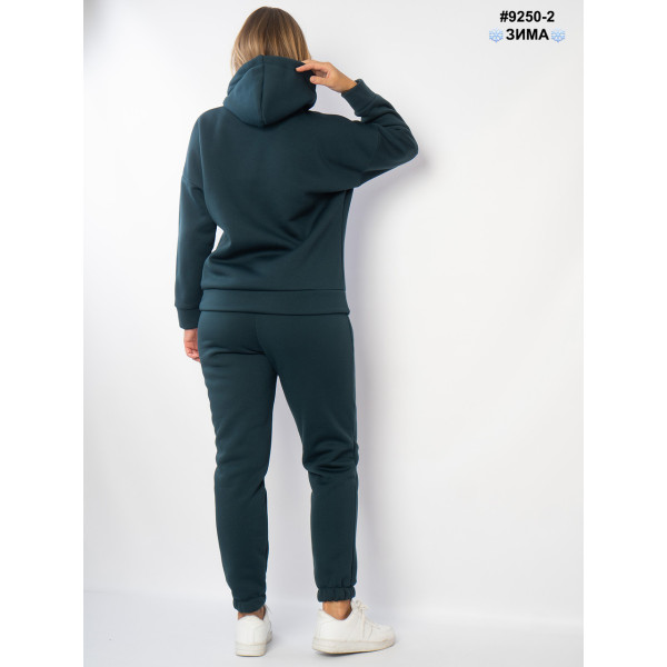 Спортивний костюм жіночий (9250-2)