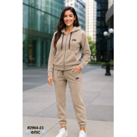 2964-23 Спортивний костюм жіночий турецький двосторонній фліс норма (4 од: 42,4446,48)