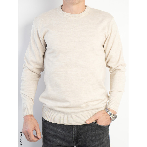 2917-24 Базовый свитшот мужской полубатал (3 ед: 3XL,4XL,5XL)