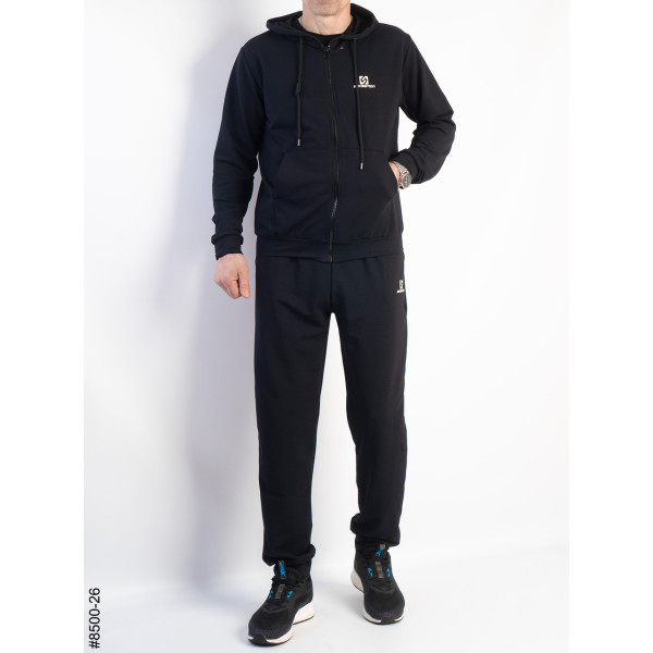 8500-26 Спортивний костюм чоловічий на манжеті турецька двонитка норма (5 од: 48,50,52,54,56)