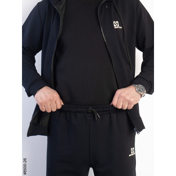 8500-26 Спортивний костюм чоловічий на манжеті турецька двонитка норма (5 од: 48,50,52,54,56)