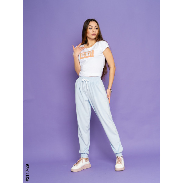 2117-29 Спортивні штани жіночі велюр норма (4 од: 42,44,46,48)