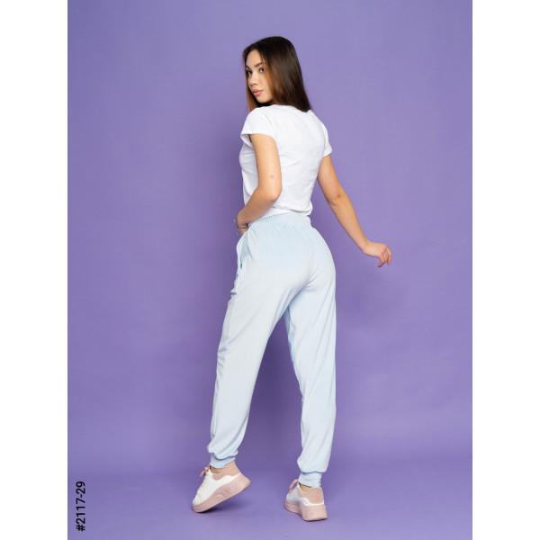 2117-29 Спортивні штани жіночі велюр норма (4 од: 42,44,46,48)