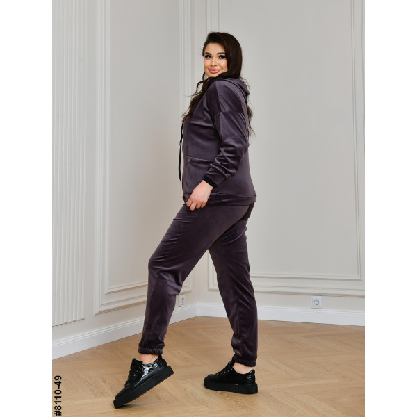 Спортивний костюм жіночий на блискавці (8110-49)