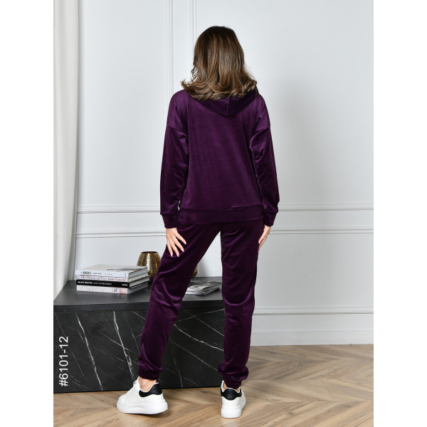 6101-12 Спортивний костюм жіночий на блискавці велюр норма (5 од: 44,46,48,50,52)
