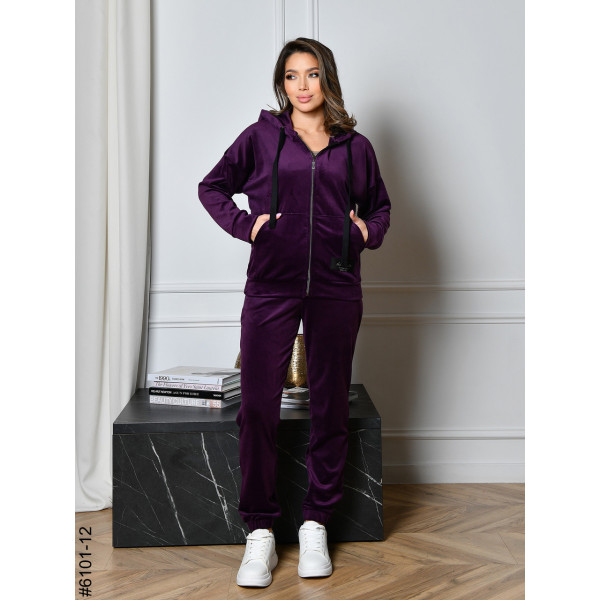 6101-12 Спортивний костюм жіночий на блискавці велюр норма (5 од: 44,46,48,50,52)