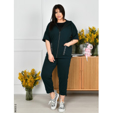 9003-2 Спортивний костюм жіночий на блискавці двунитка супербатал (4 од: 54,56,58,60)