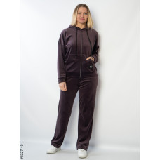 8327-10 Спортивний костюм жіночий на блискавці велюр напівбатал (4 од: 48,50,52,54)